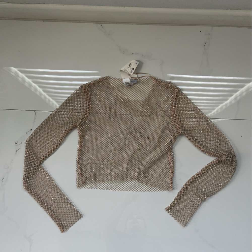 Zara Beige Mesh Top